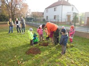 Výsadba u MŠ 2015 - sponzorováno firmou PAJR s.r.o.Vlkava
